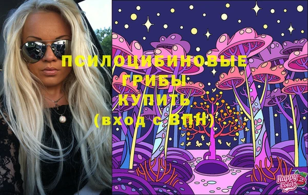 прущие грибы Балабаново