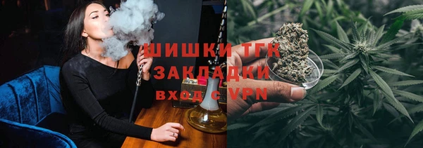 прущие грибы Балабаново