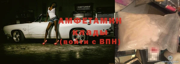прущие грибы Балабаново