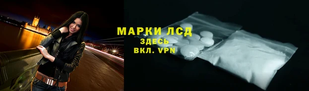 прущие грибы Балабаново