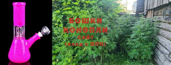 прущие грибы Балабаново