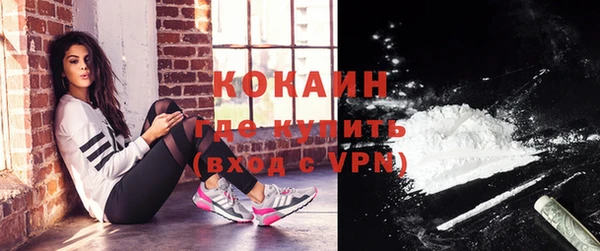 прущие грибы Балабаново